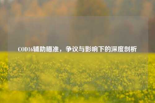 COD16辅助瞄准，争议与影响下的深度剖析