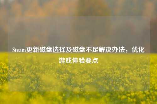 Steam更新磁盘选择及磁盘不足解决办法，优化游戏体验要点