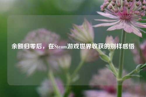 余额归零后,在Steam游戏世界收获的别样感悟