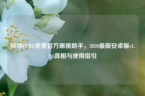 探寻PUBG免费官方画质助手，2020最新安卓版v1.2.1真相与使用指引