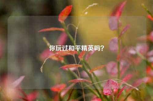 你玩过和平精英吗？