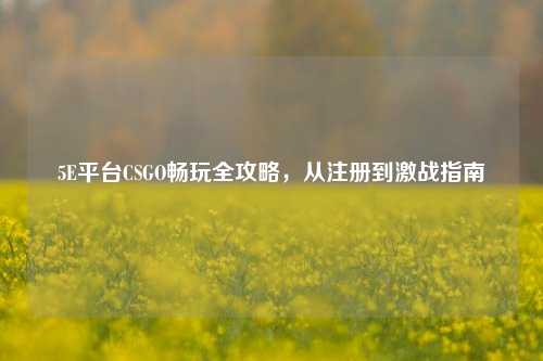 5E平台CSGO畅玩全攻略，从注册到激战指南