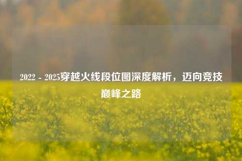 2022 - 2025穿越火线段位图深度解析，迈向竞技巅峰之路