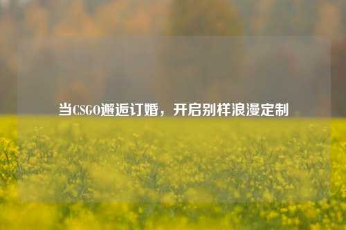 当CSGO邂逅订婚，开启别样浪漫定制