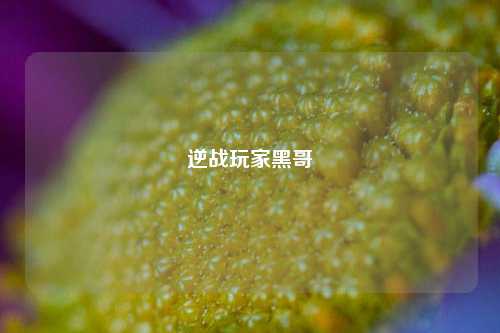 逆战玩家黑哥