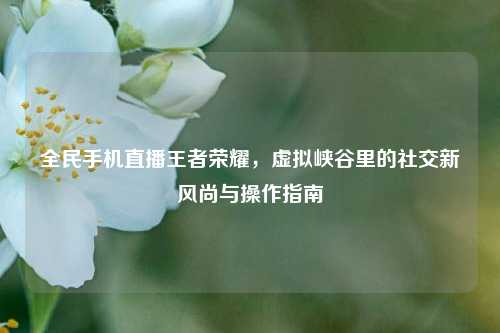 全民手机直播王者荣耀，虚拟峡谷里的社交新风尚与操作指南