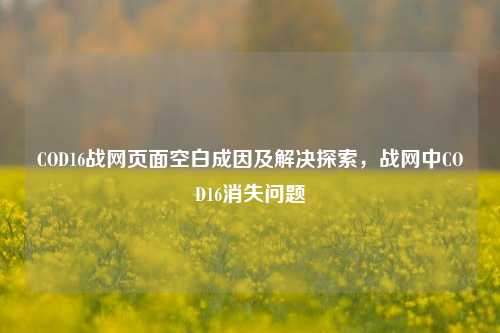 COD16战网页面空白成因及解决探索，战网中COD16消失问题