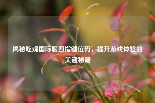 揭秘吃鸡国际服四指键位码，提升游戏体验的关键秘籍