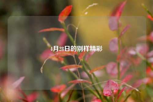 4月28日的别样精彩