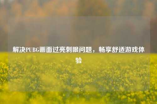 解决PUBG画面过亮刺眼问题，畅享舒适游戏体验