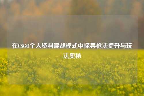 在CSGO个人资料混战模式中探寻枪法提升与玩法奥秘