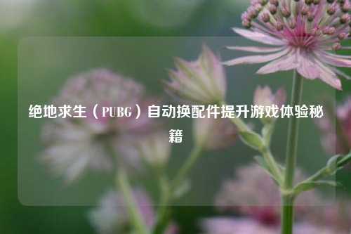 绝地求生（PUBG）自动换配件提升游戏体验秘籍