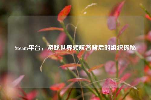 Steam平台,游戏世界领航者背后的组织探秘