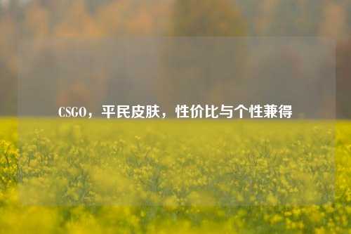 CSGO，平民皮肤，性价比与个性兼得