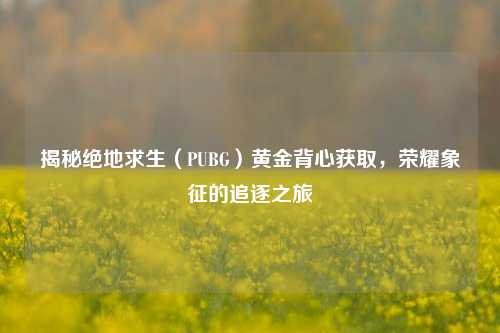 揭秘绝地求生（PUBG）黄金背心获取，荣耀象征的追逐之旅