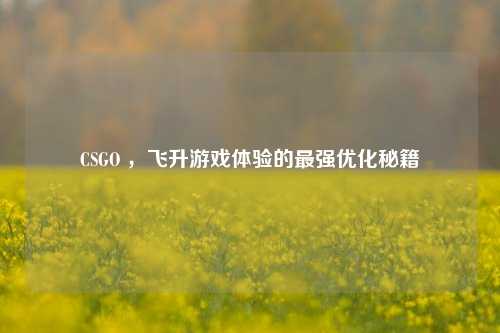 CSGO ，飞升游戏体验的最强优化秘籍