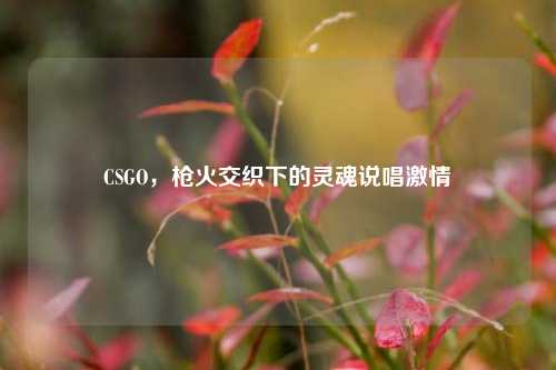 CSGO，枪火交织下的灵魂说唱激情