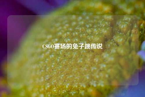CSGO赛场的兔子跳传说