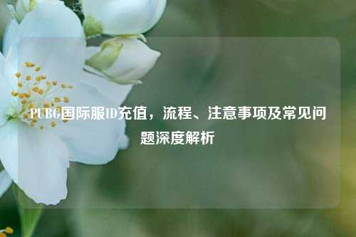 PUBG国际服ID充值，流程、注意事项及常见问题深度解析