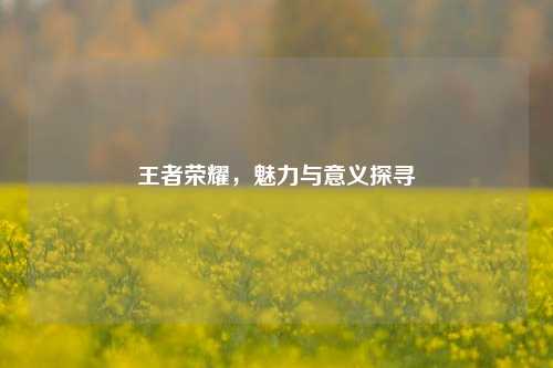 王者荣耀，魅力与意义探寻