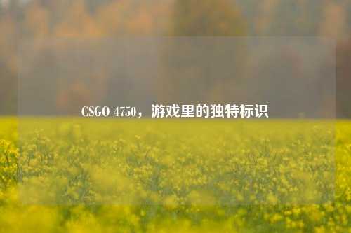 CSGO 4750,游戏里的独特标识