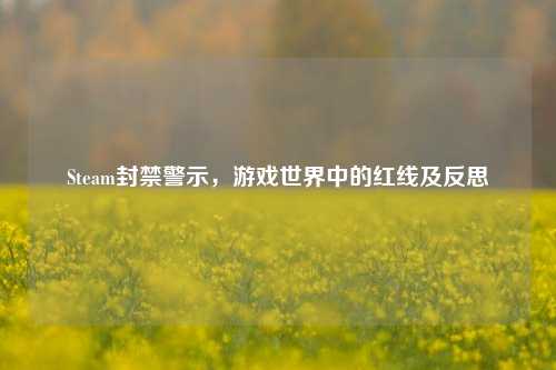 Steam封禁警示，游戏世界中的红线及反思