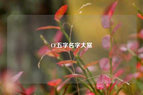 CF五字名字大赏