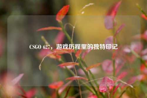CSGO 627，游戏历程里的独特印记