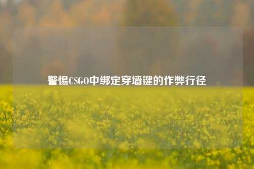 警惕CSGO中绑定穿墙键的作弊行径