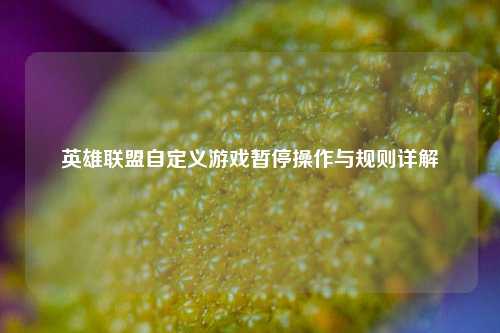 英雄联盟自定义游戏暂停操作与规则详解