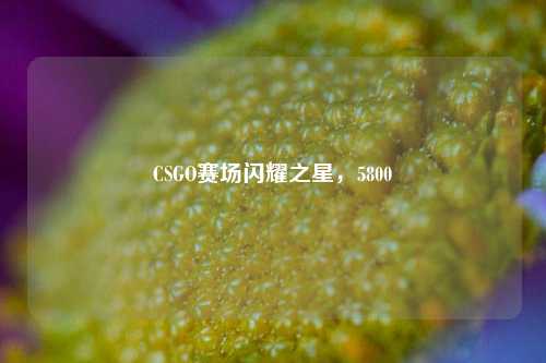 CSGO赛场闪耀之星，5800