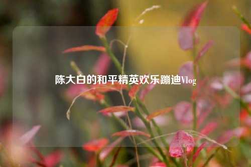 陈大白的和平精英欢乐蹦迪Vlog