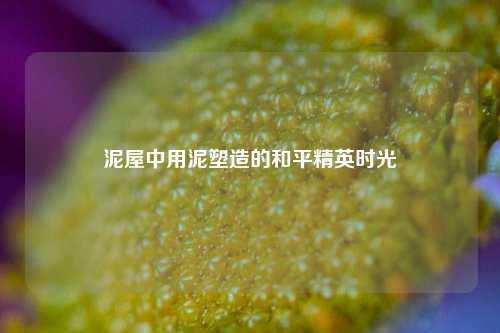 泥屋中用泥塑造的和平精英时光