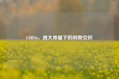 COD16，庞大体量下的利弊交织