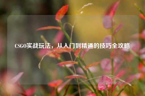 CSGO实战玩法，从入门到精通的技巧全攻略