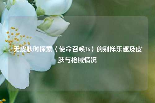 无皮肤时探索〈使命召唤16〉的别样乐趣及皮肤与枪械情况