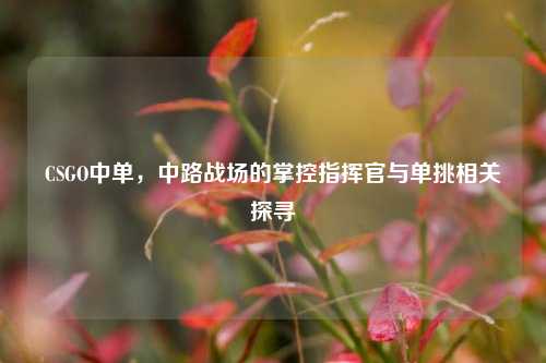 CSGO中单,中路战场的掌控指挥官与单挑相关探寻
