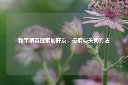 和平精英搜索加好友，拓展与关闭方法