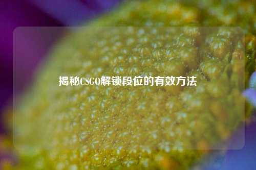 揭秘CSGO解锁段位的有效方法