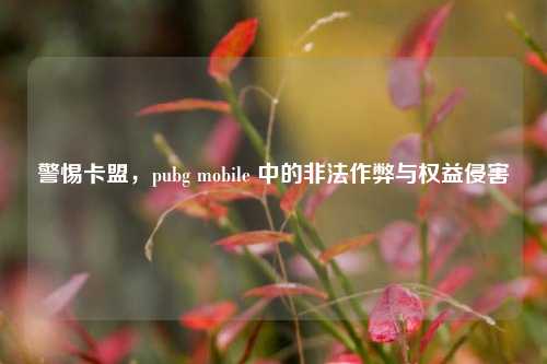 警惕卡盟,pubg mobile 中的非法作弊与权益侵害