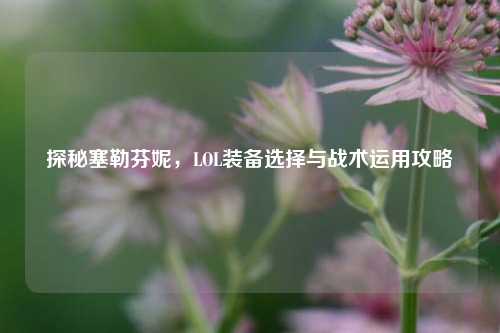 探秘塞勒芬妮，LOL装备选择与战术运用攻略