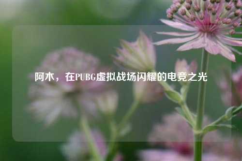 阿木，在PUBG虚拟战场闪耀的电竞之光