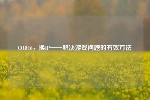 COD16，换IP——解决游戏问题的有效方法
