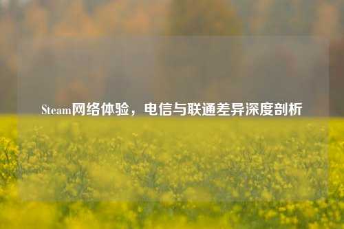 Steam网络体验，电信与联通差异深度剖析