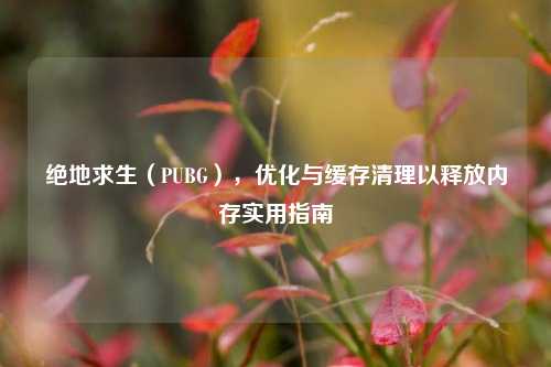 绝地求生(PUBG),优化与缓存清理以释放内存实用指南