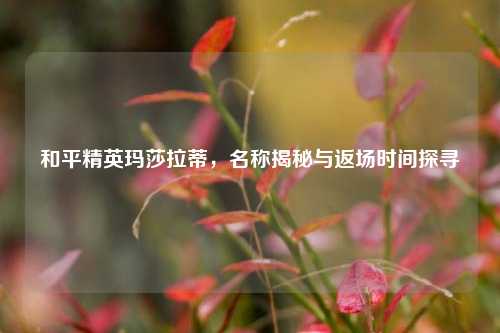 和平精英玛莎拉蒂，名称揭秘与返场时间探寻