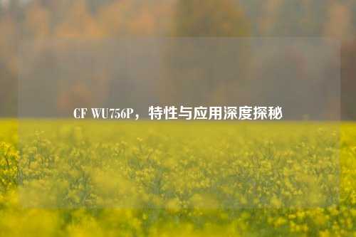 CF WU756P,特性与应用深度探秘