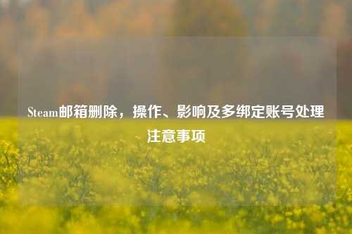 Steam邮箱删除，操作、影响及多绑定账号处理注意事项