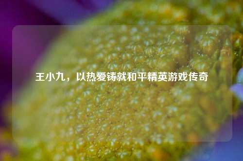 王小九，以热爱铸就和平精英游戏传奇