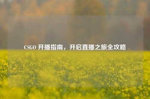 CSGO 开播指南，开启直播之旅全攻略